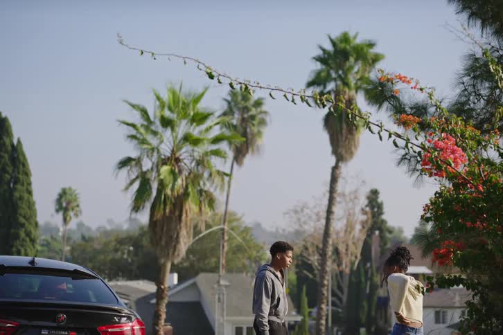 Two young adults have a conversation on a quiet, sunny suburban street lined with tall palm trees