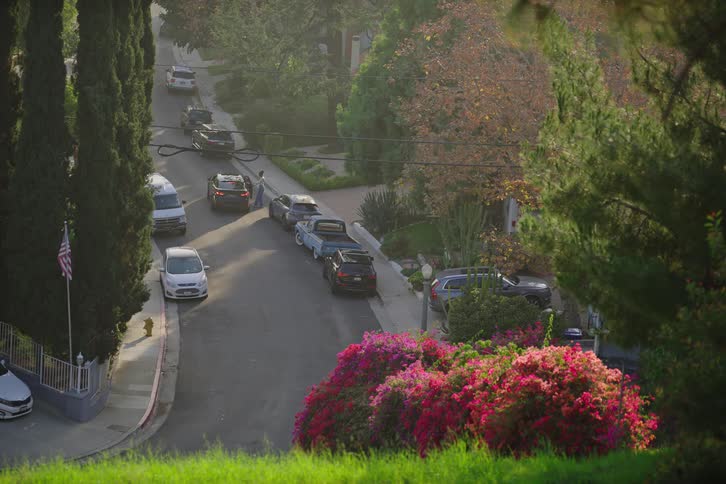 A scenic high-angle view of a quiet, hilly residential street with lush trees, vibrant bougainvillea flowers, and parked cars