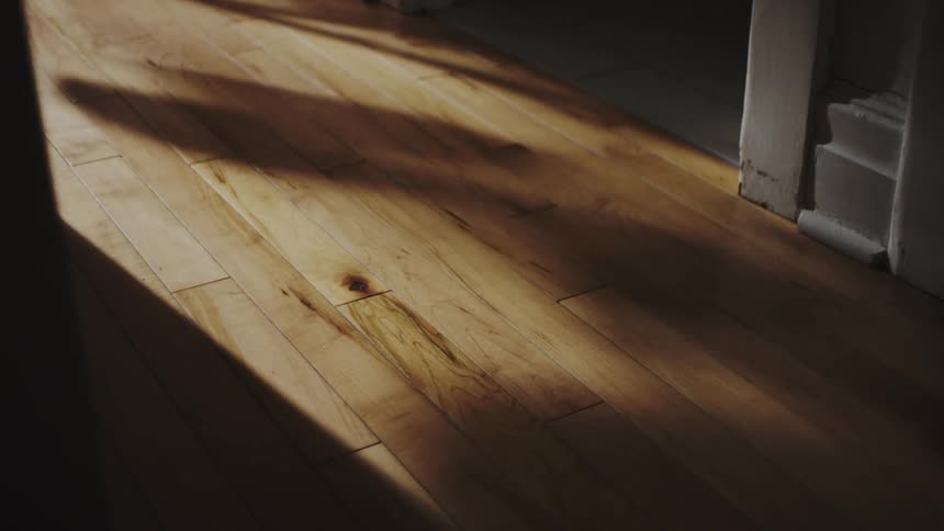 A time-lapse of ethereal shadows dancing across a sunlit hardwood floor in a quiet home