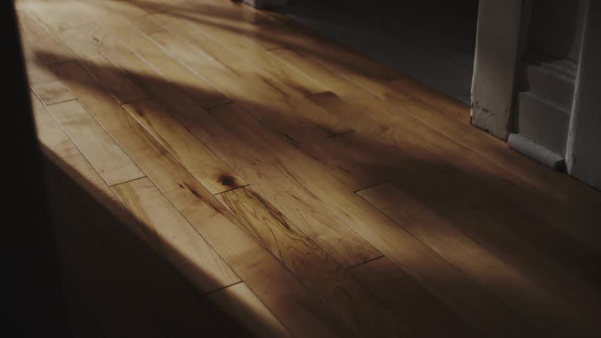 Sunlight casts moving shadows across a polished hardwood floor in a time-lapse