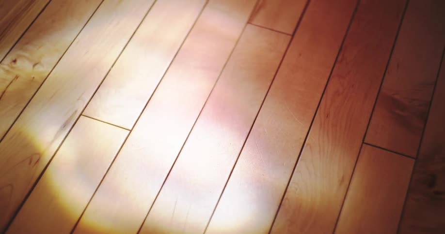 A dreamy, soft-focus rainbow light reflection drifts slowly across a warm hardwood floor