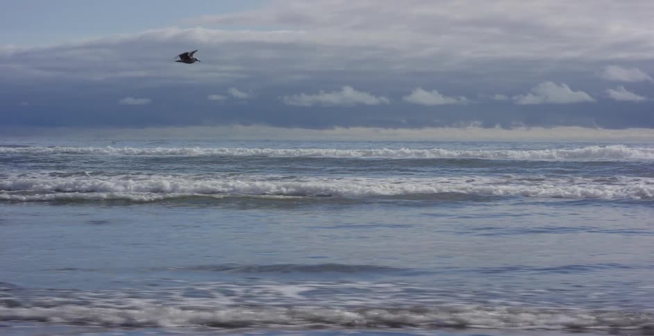 A pair of majestic seagulls gracefully soar in slow motion just above the ocean waves as they roll onto the shore under a cloudy sky