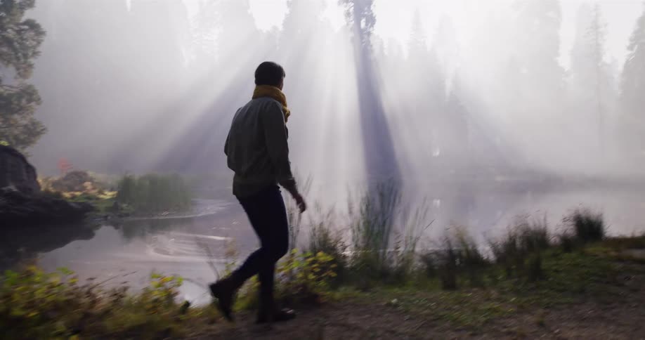 A woman walks in slow motion along a foggy lake in the forest as beautiful sunbeams shine through the trees