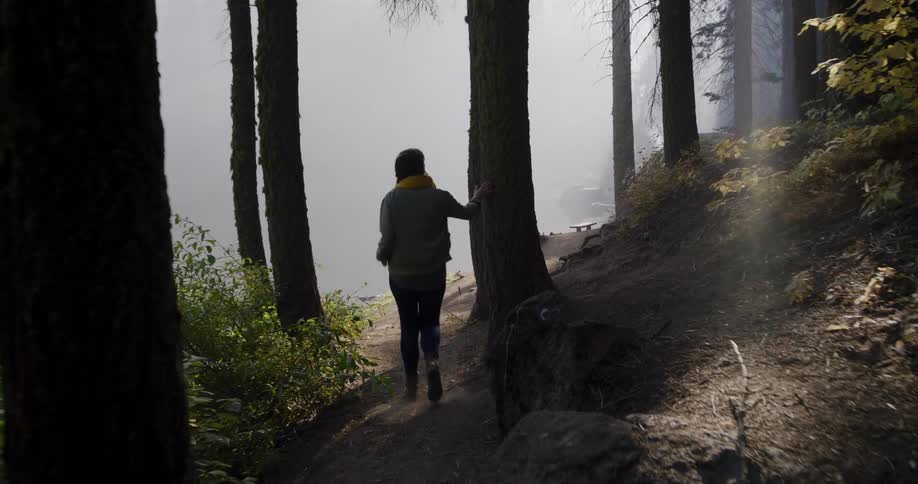 A woman takes a contemplative walk along a sunlit, misty path through a tranquil forest by the lake
