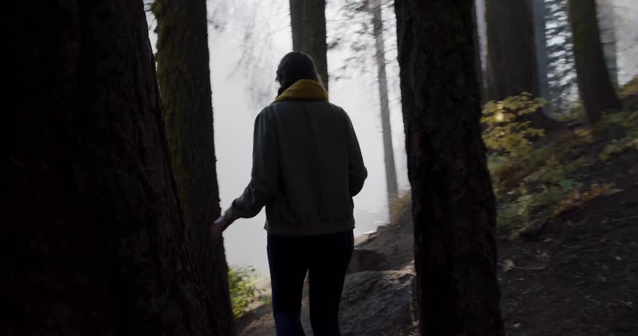 A woman wearing a jacket and scarf hikes through a misty forest, touching a large tree as sunbeams shine through the branches