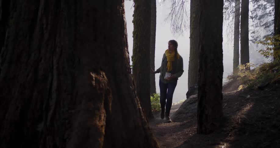 A woman with a yellow scarf walks in awe through a foggy redwood forest, touching a giant tree as sunlight breaks through