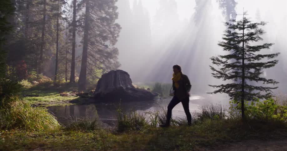 A woman joyfully runs along a misty lakeside path as golden sunbeams shine through the dense forest trees