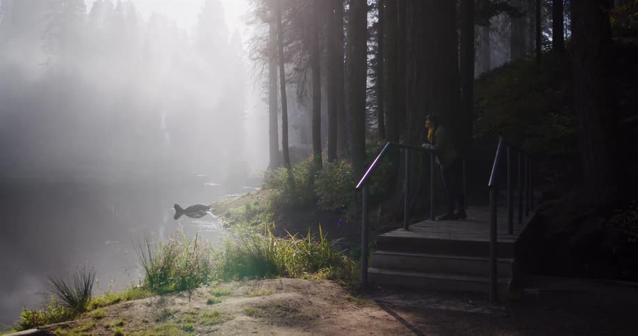 A person walks out onto a bridge to photograph a serene and foggy lake in a forest as sunlight streams through the trees