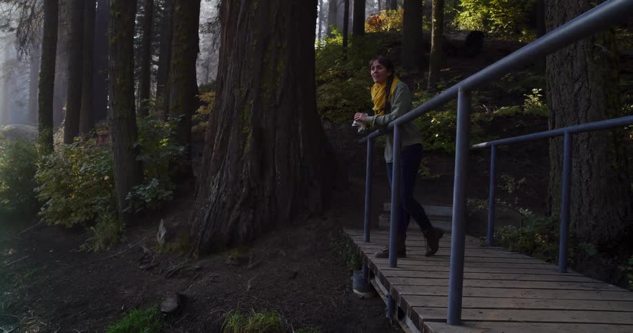 A happy young woman walks through a sunlit, foggy forest, stopping on a wooden bridge to take a photograph of the scenery with her instant camera