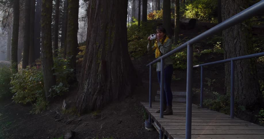 A young woman with an instant camera smiles and takes a photo while standing on a wooden bridge in a beautiful, misty redwood forest