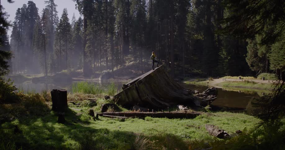 An adventurous woman climbs atop a giant fallen tree stump in a majestic sunlit forest overlooking a tranquil lake