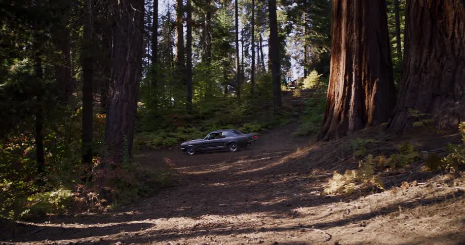 A classic muscle car drives slowly up a dirt path through a magnificent sunlit forest of giant trees