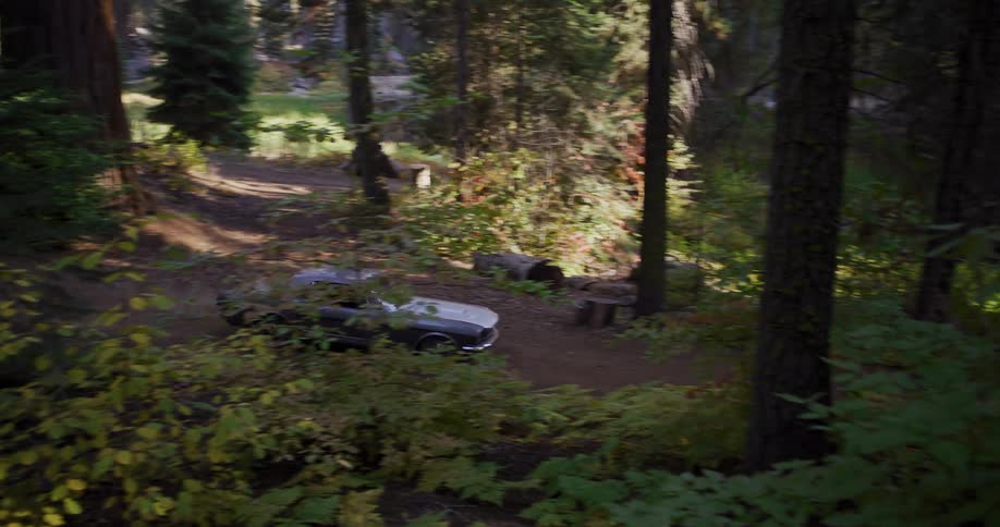 Tracking shot of a vintage muscle car driving on a scenic dirt road through a lush green forest