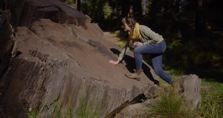 A young female hiker triumphantly climbs to the top of a giant tree stump in a lush green forest on a sunny day