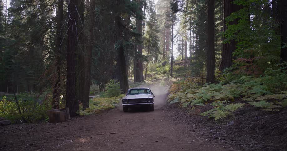 A vintage Ford Mustang drives down a dirt road through a sun-dappled forest in slow motion