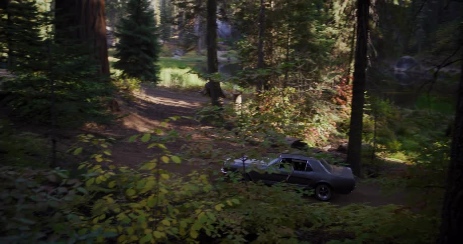 A vintage Ford Mustang encounters a mysterious Bigfoot creature while driving on a dirt road through a sun-dappled forest