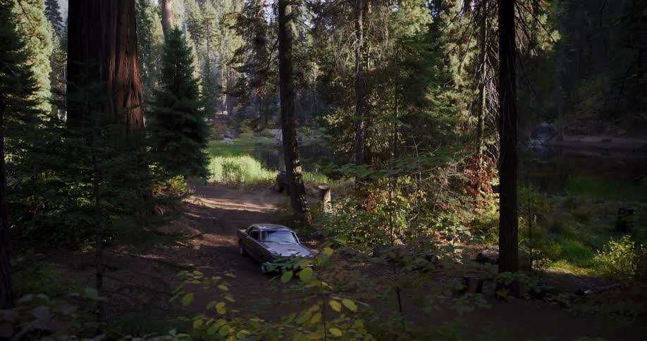 A classic convertible drives down a secluded dirt path through a majestic forest and parks in a sunlit clearing
