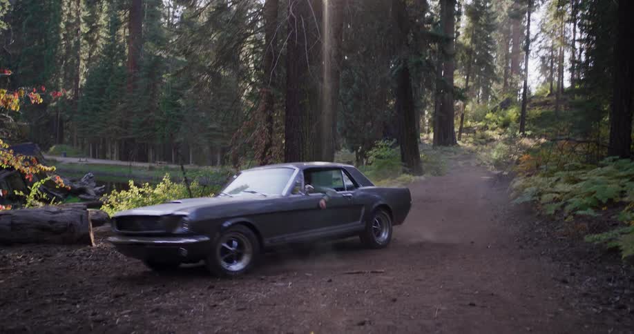 A classic Ford Mustang drives in slow motion down a dusty dirt road through a sun-drenched redwood forest