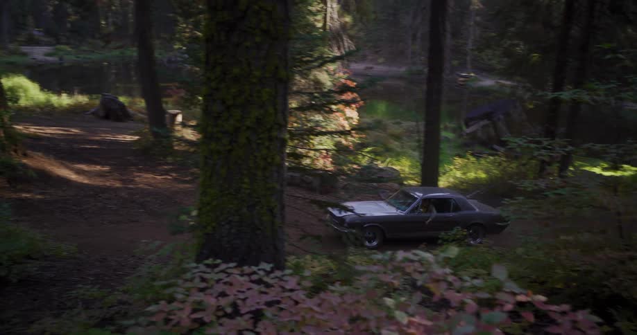 A classic Ford Mustang drives down a dirt path through a dense, sun-dappled forest towards a secluded lake