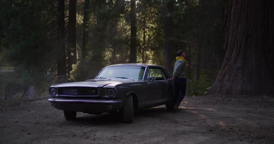 A woman on a road trip gets out of her classic Mustang to explore a sun-dappled forest with massive trees