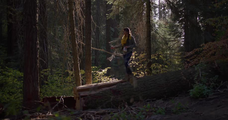 A young woman wearing a yellow scarf playfully walks along a large fallen log in a sun-dappled forest