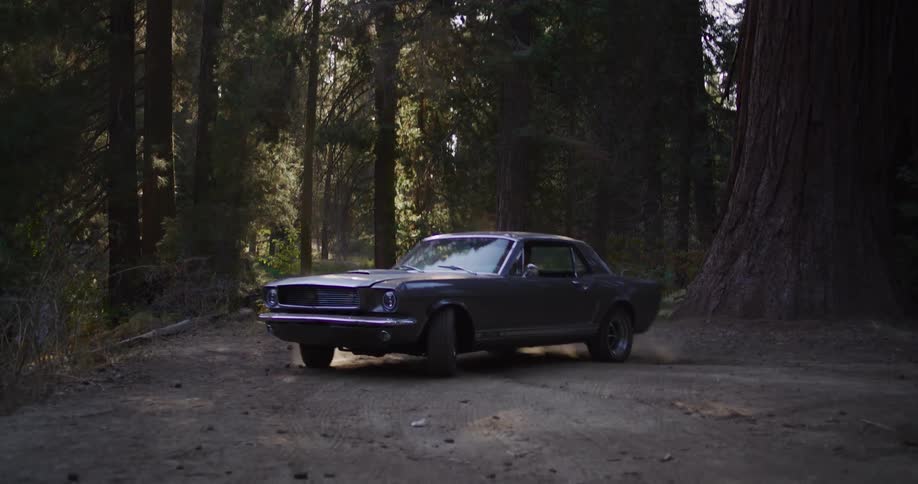 A vintage charcoal gray Ford Mustang executes a three-point turn on a dusty road in a serene, sunlit forest