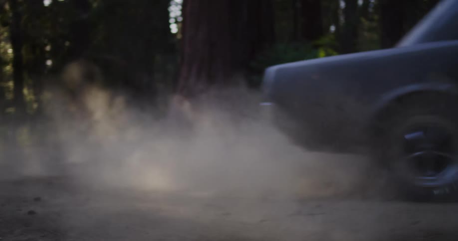 A classic grey Ford Mustang speeds down a dusty forest road, kicking up a cloud of dirt in slow motion