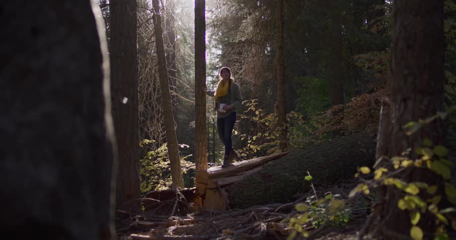 A young woman with a yellow scarf stands on a fallen tree in a sun-drenched forest, pausing to admire her serene surroundings