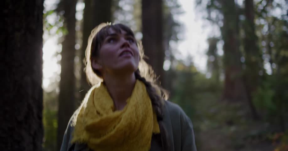 A contemplative woman with a bright yellow scarf stands in awe of the majestic trees in a serene, sunlit forest