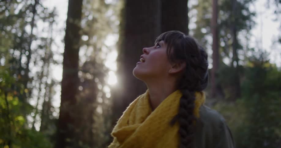 A woman with a yellow scarf looks up in wonder at the tall trees in a sun-dappled forest