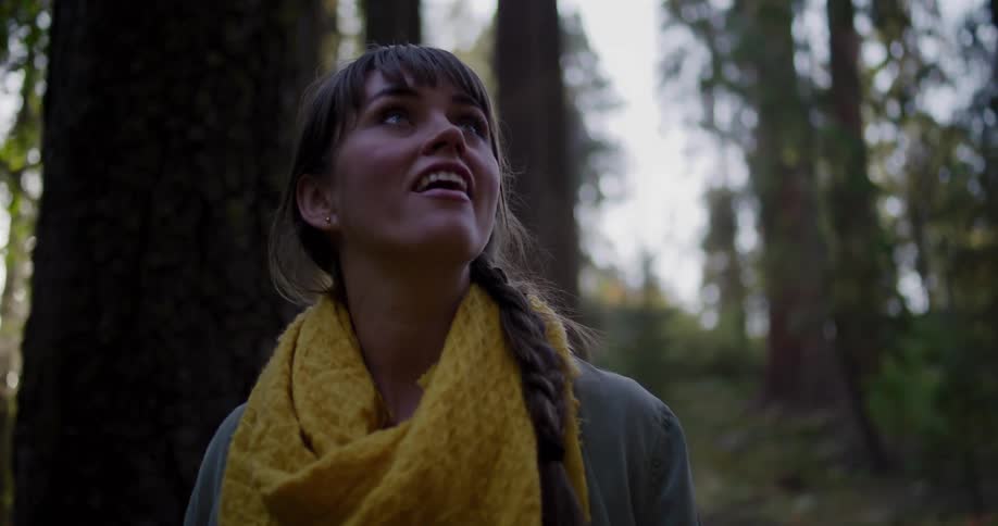 A joyful woman looks up in wonder at the giant trees in a sun-dappled forest
