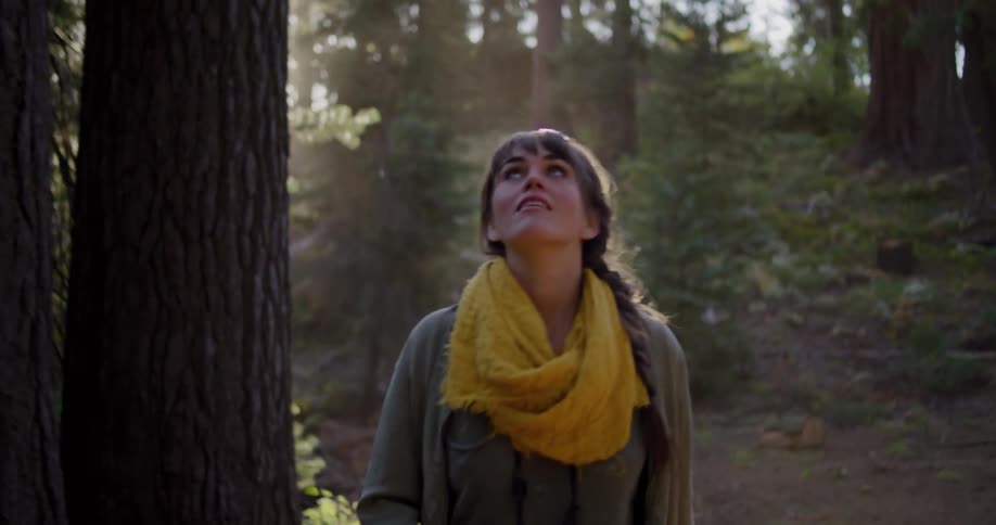A woman wearing a yellow scarf explores a sunlit forest, looking up at the tall trees with a sense of wonder