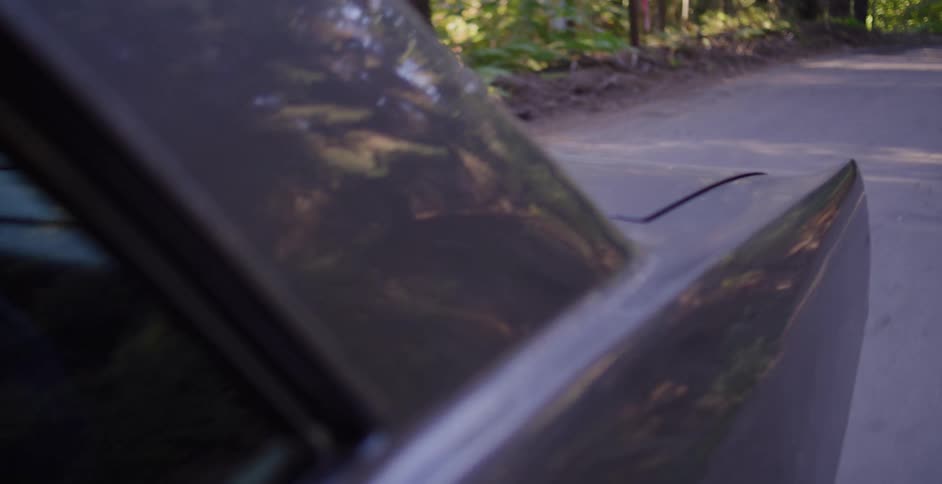 A close-up of trees reflecting in the paint of a car driving down a wooded road