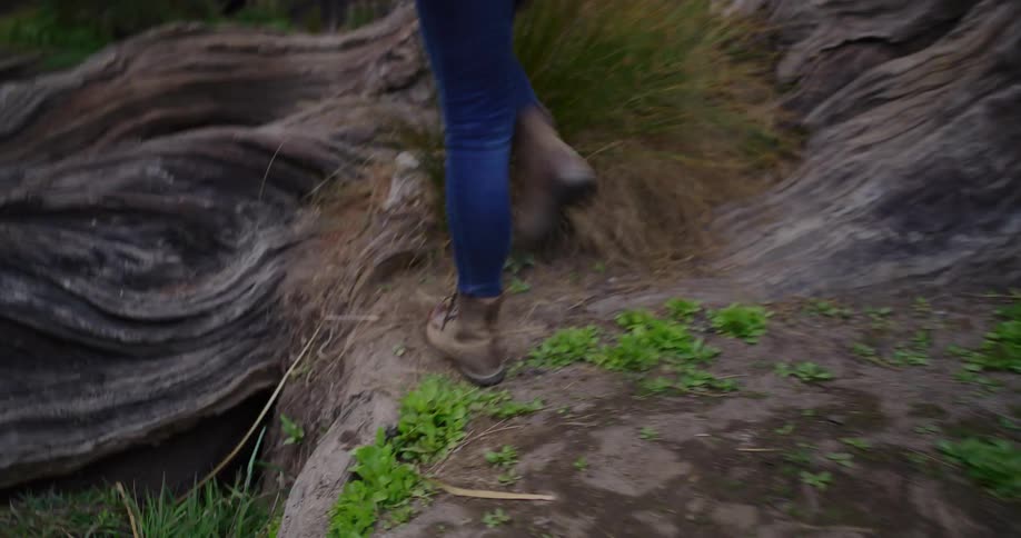 Slow motion shot of a woman's boots as she carefully walks across a giant fallen tree log in a lush forest