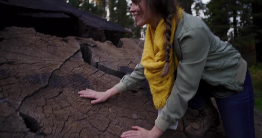 In slow motion, a smiling woman in a yellow scarf connects with nature by touching the textured rings of a massive fallen tree in the forest