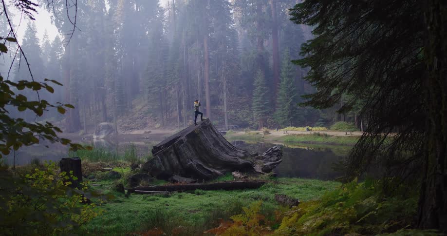 A photographer stands on a giant tree stump taking in the magnificent view of a foggy forest and tranquil lake