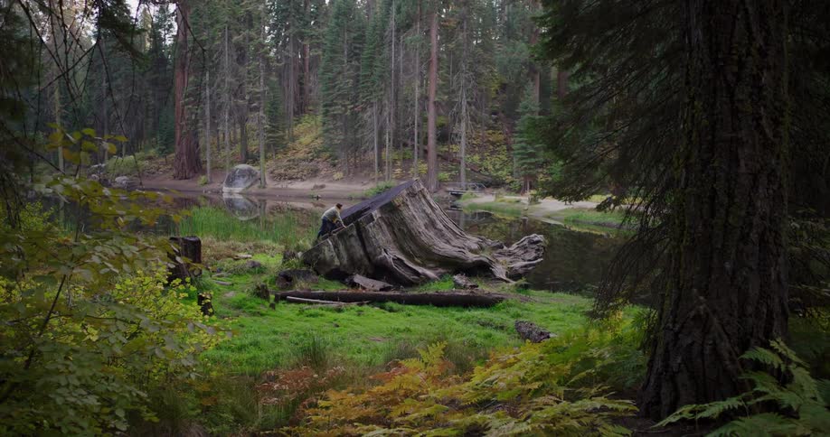 A woman hikes through a lush forest, climbs atop a giant fallen tree stump by a tranquil lake, and victoriously raises her arms