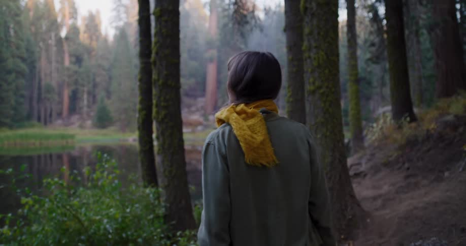 A woman in a yellow scarf explores a tranquil forest, pausing to admire and touch a giant, moss-covered tree