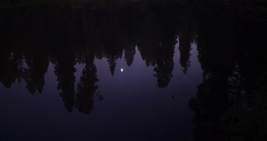 A majestic forest of giant sequoia trees stands silhouetted against a twilight sky with a full moon, its reflection shimmering on a still lake below