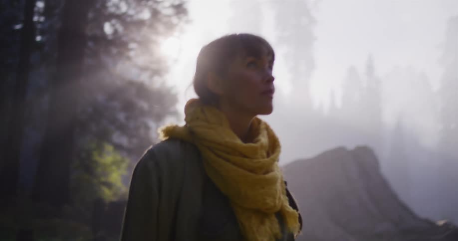 A woman walks in slow motion through a magical, misty forest, admiring the towering trees as sunbeams shine through the fog