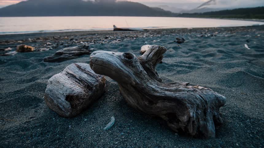 A serene timelapse slowly pans around weathered driftwood on a dark sandy beach during a beautiful sunset over the water and mountains