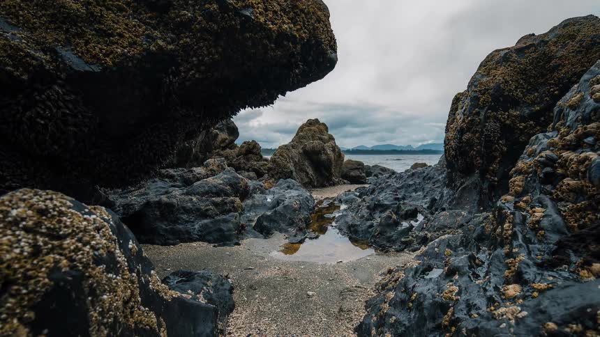A slow time-lapse captures the tide receding from a rugged, barnacle-covered coastal cove on an overcast day