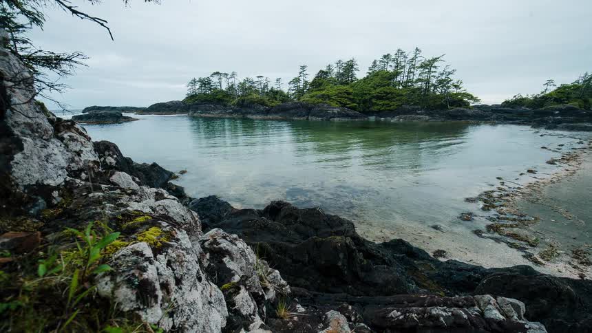 A time-lapse shows the tide slowly rising in a tranquil, rocky cove with a forested island on an overcast day
