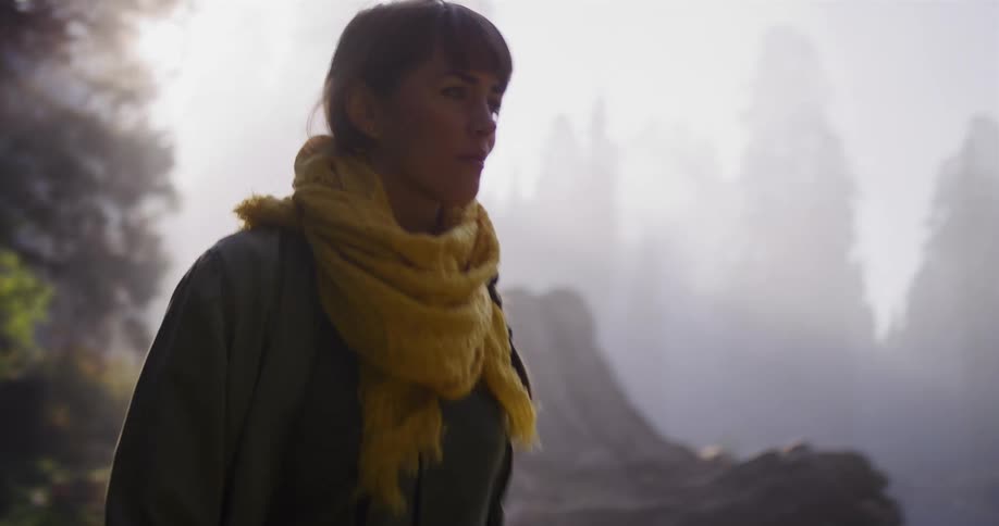 A woman with a vintage camera walks through a misty, sunlit redwood forest in slow motion