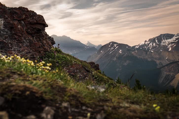 A scenic timelapse captures wildflowers on a rocky slope as clouds drift over a snow-capped mountain valley at dusk
