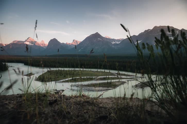 A scenic view from a grassy overlook captures a tranquil river winding through a vast pine forest toward majestic mountains at golden hour
