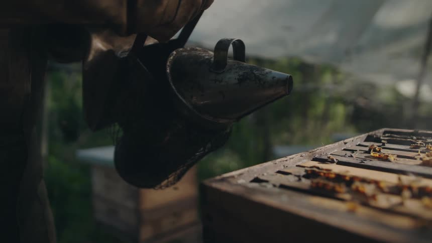 A beekeeper uses a smoker to calm honey bees on top of a wooden hive in slow motion
