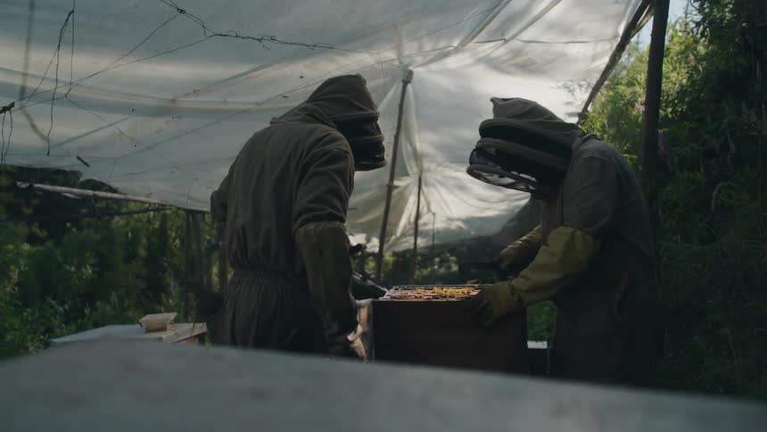 Two beekeepers in protective gear use a bee smoker on a hive in slow motion under a tarp shelter