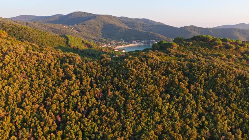 A beautiful aerial view flies over a dense forest to reveal a secluded bay and sandy beach at golden hour