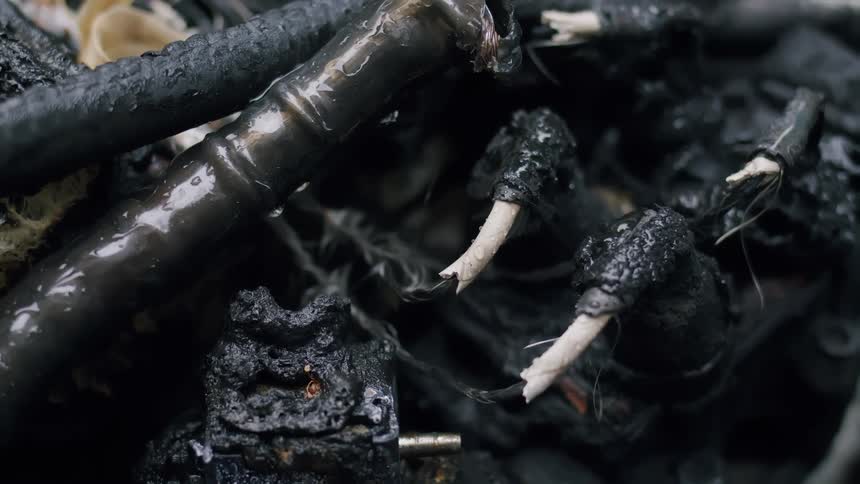 A detailed close-up shot of charred and melted electrical wiring and components in the aftermath of a fire